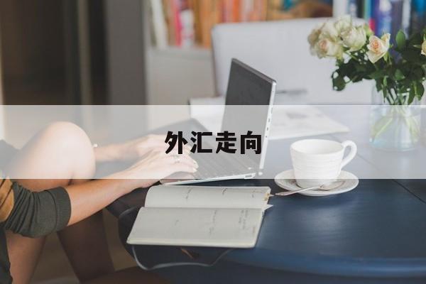 外汇走向(外汇走向图)